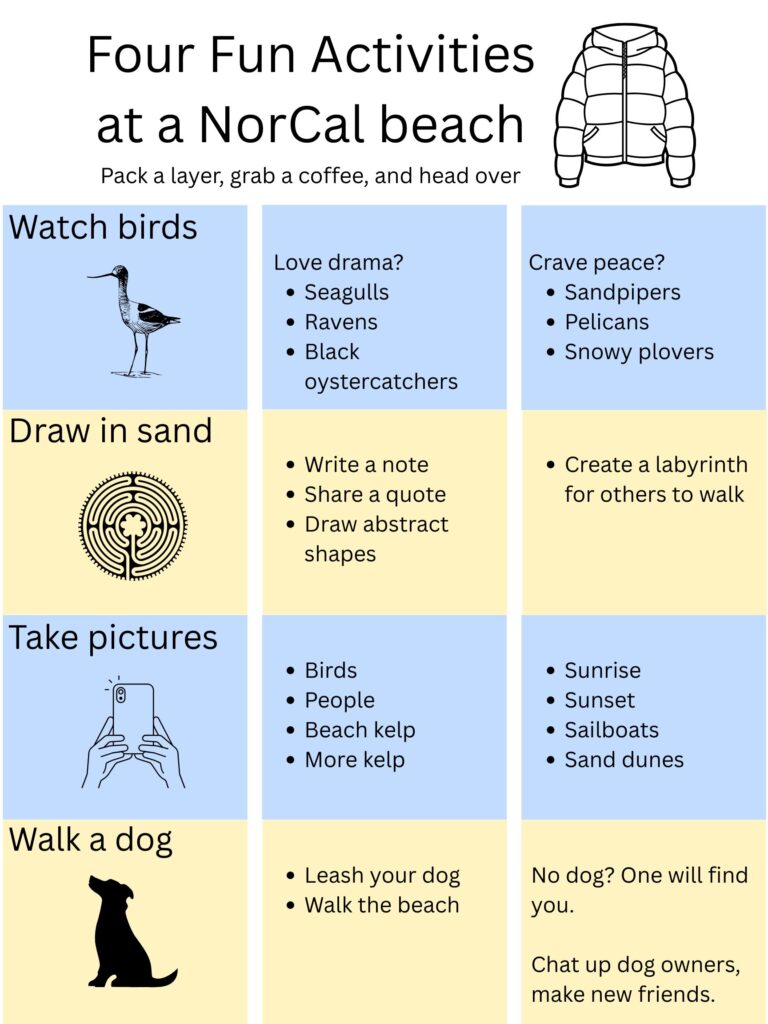 Four things to do on a NorCal beach